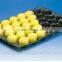 China made USA Required Fresh Producing Tray