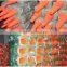 TC306 PP Plastic Sport Cones