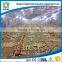 Modern steel structure chicken hangar