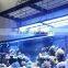 20000k led aquarium led light 72 inch led aquarium light timer sunrise and sunset aquarium light led wifi controller