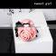 OEM package remy cheap double weft wholesale remy extension hair clip -f91