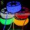 Decorative led wire light