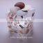fancy custom printed clear pvc pp pet gift box