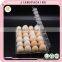 Custom wholesale 24 holes clear plastic egg tray
