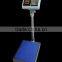 Chinese 300kg tcs electronic platform scale for fruits
