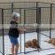 high quality galvanized dog kennels enclosure