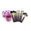 11pcs pink dot brand cosmetics makeup brush set professional with quality makeup brush holder