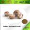 GMP Natural Reishi Mushroom Extract/Ganoderma lucidum Extract Multiple 10%-50% Polysaccharides