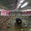 Industrial chicken shed/broiler farm/poultry house construction design