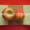 bamboo sushi dinner plate dish tray
