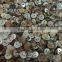 Cheap natural japan akoya shell buttons for shirt cuff