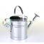 Metal Galvanised Steel Watering Can 9 Litre Garden Water Plants Green Cream Galvinised (Silver)