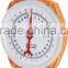 100kg hanging scale