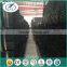 With A Quality Management System Building Material Square Welded Black Square Steel Pipe