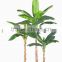 SJ0301117 Artificial decorative ornamental banana bonsai plants
