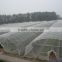 Factory direct HDPE anti-hail nets / anti -bird nets for agriculture