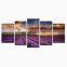 picture wall art decor canvas