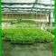 Weed killer fabric /agricultural anti weed mat/ground cover