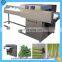 Industrial Made in China Vegetable Root Cut Machine Carrot slicer/apple slicing machine/celery vegetable cutter