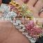 Hiphop Ladies butterfly diamond bracelet Girl Women Gold Silver Pink Bracelet Female boutique jewels party wear gift