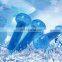 2020 factory price cooling dog chew toy dumbbell shape treats and  freeze dog toy