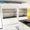 2019 New Design laboratory fume hood Steel medical physics Chinese lab equipment chemical fume hood