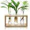 3 Test Flower Bud Vase Kit Glass Plant Terrarium Tubes Test Tube with Wooden shelf