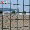 Holland Farmland Fence Dutch Wave Wire Mesh Euro Fence