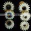 OEM injection moulding nylon helical tooth spur plastic gears