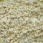 Wholesale Price 500g/1kg/2kg/10kg/20kg White Chopped Bottled Garlic Conducive to Preservation