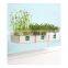 Suction Cup Shelf for Plants Window Bathroom or Kitchen Live Plant Shelves for Indoor Garden