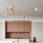 HUAYI Nordic Design Multiple Heads Indoor Living Room Hotel Modern Decorative Led Pendant Light