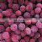 Sinocharm BRC-A approved New Crop  IQF waxberry Whole  Frozen chinese yangmei