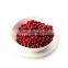 New Crop Wild 95 % red color  IQF Frozen Lingonberries