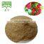 Water Soluble 10:1 Schisandra berries fruit extract
