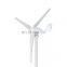 800W Wind Generator China Factory Price 24V/48V Windmill Generator for home