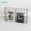 Magazine Holder Organizer - Space Saving Compact Rack for Magazines, Books, Newspapers, Tablets, Laptops in Bathroom, Family Ro