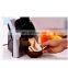 Amazing Household Fast Instant Yoghurt Portable DIY Home Serve Frozen Fruit Soft Ice Cream Maker