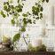 high clear long-stemmed Glass Candle Holders table centerpiece Rome candlestick holder