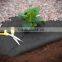 Weed Control Fabric/Breathable/non-woven/insect Prevention