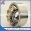 Double Row Spherical roller bearing 24130