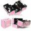 Cosmetic train case, factory direct sale cosmetic case and makeup box aluminium box, silver makeup case JH05A