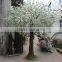 CIA wedding and home decoration white artificial indoor cherry blossom tree