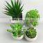 China supplier new designed potted artificial mini succulent plants for table decoration