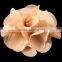 2.6inch Wholesale cheap Chiffon flower for newborn headband, baby hair Flowers flat back 20 colors YDKM02