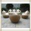 5 Pieces Hand-made Yellow rattan sofa set (S5142)
