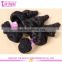 Unprocessed Wholesale Virgin Brazilian Hair Natural Black Tangle Free No Shed Hair Weaving