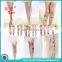 New sexy tights fashion picture printed pantyhose, lady printing pantyhose cool