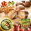 Sweet HALAL Nut & Kernel Snacks--ready to eat roasted chestnuts