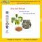 GMP Factory Supply High Quality Olive Leaf Extract / Oleuropein 25%